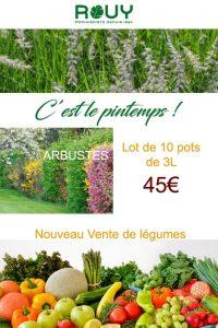 création site internet ecommerce avignon