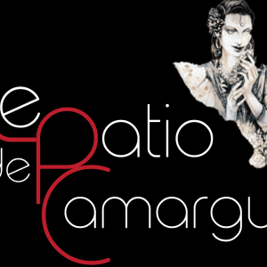 Création logo Patio de Camargue Arles