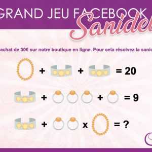 Organisation jeu facebook Chateaurenard et Saint Rémy de provence