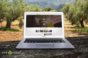 création de site internet Châteaurenard et Avignon – Icone Internet