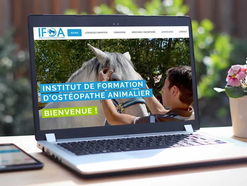 création de site internet Châteaurenard et Avignon – Icone Internet