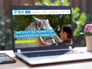création de site internet Châteaurenard et Avignon – Icone Internet