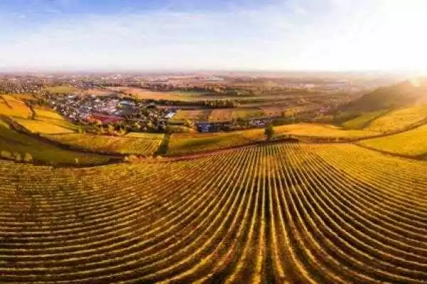 Drone Avignon