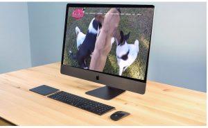 création site internet et web tarascon