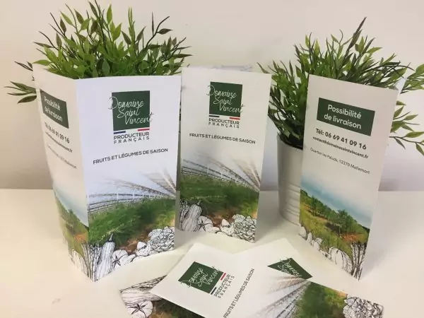 Imprimerie déplaints prospectus