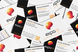 maquette graphique poleprint imprimerie cartes de visite salon de provence