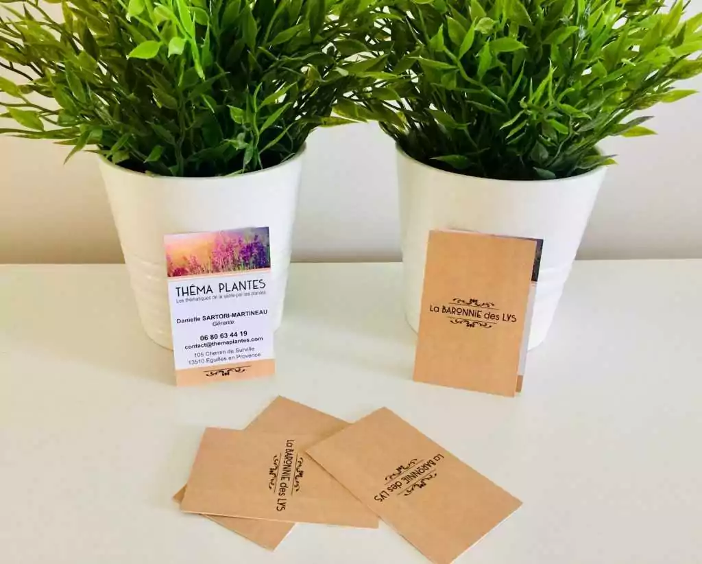 Imprimerie flyers Cartes de visite