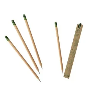 crayon graine plant a tree