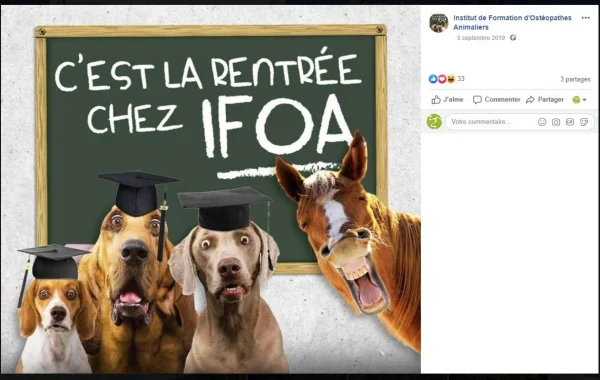 réseaux sociaux communication (Facebook) pour une société de Tarascon