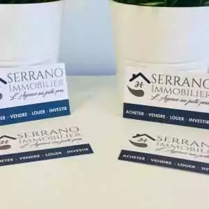 Cartes de visite agence immobiliere
