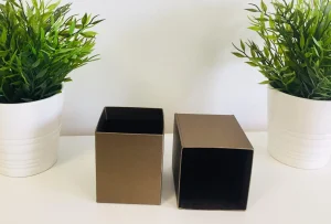 packaging boite cloche