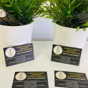 Cartes de visite personnalisés 350g