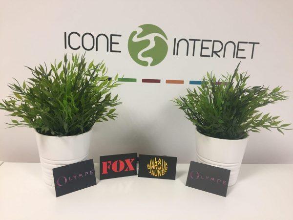 Cartes de visite icone internet fox selectif