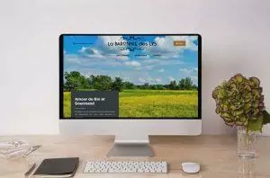 creation-de-site-internet-biscuits-bio