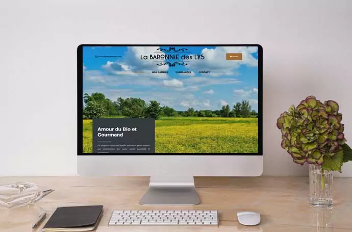 creation-de-site-internet-biscuits-bio