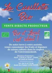 Graphisme pour épicerie bio