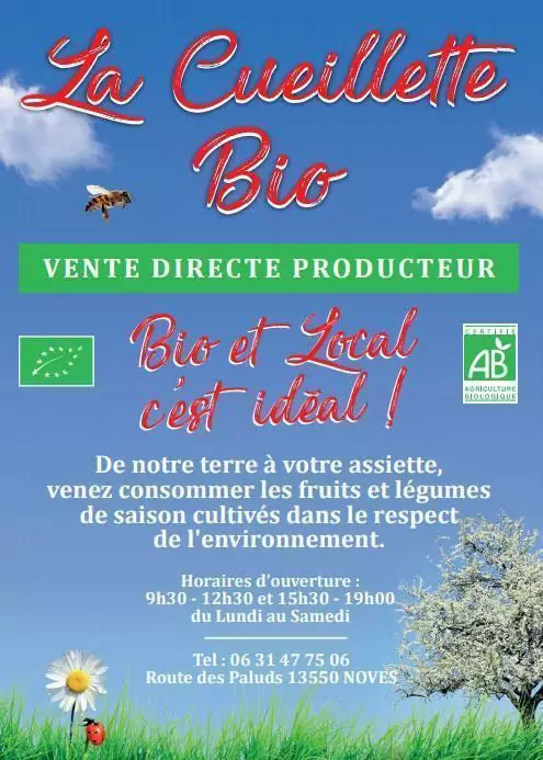 Graphisme pour épicerie bio