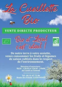 Graphisme pour épicerie bio