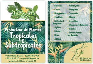 creation graphique pao
