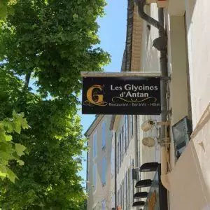 adhésif vitrine décoration