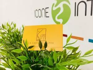 Cartes de visite format personnalisé