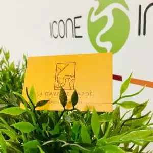 Cartes de visite format personnalisé