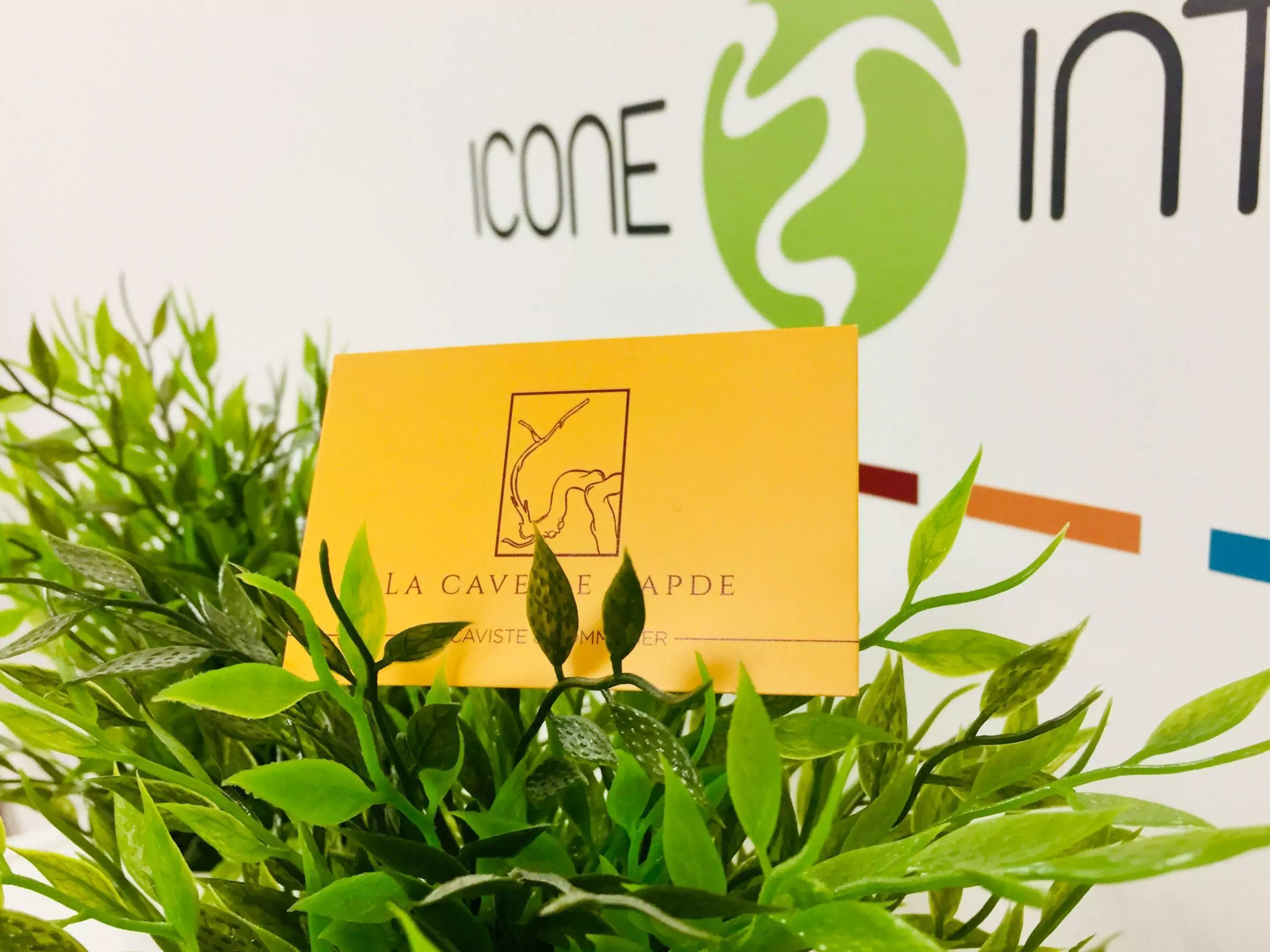 Cartes de visite format personnalisé