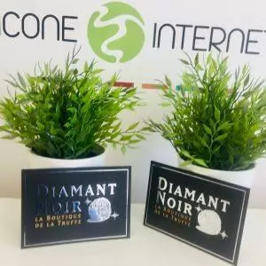 Cartes de visite argentée