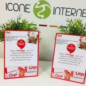 Cartes de visite icone internet agence immobiliere
