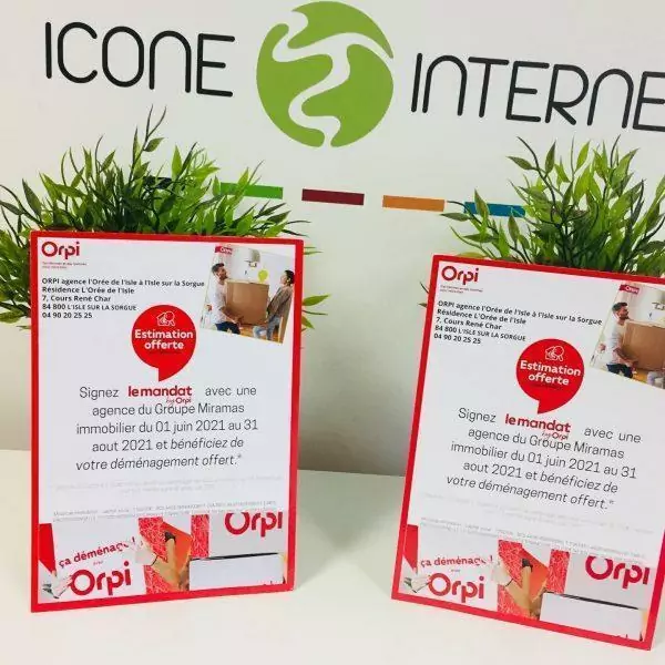 Cartes de visite icone internet agence immobiliere
