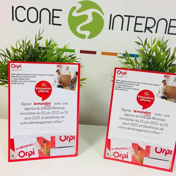 Cartes de visite icone internet agence immobiliere