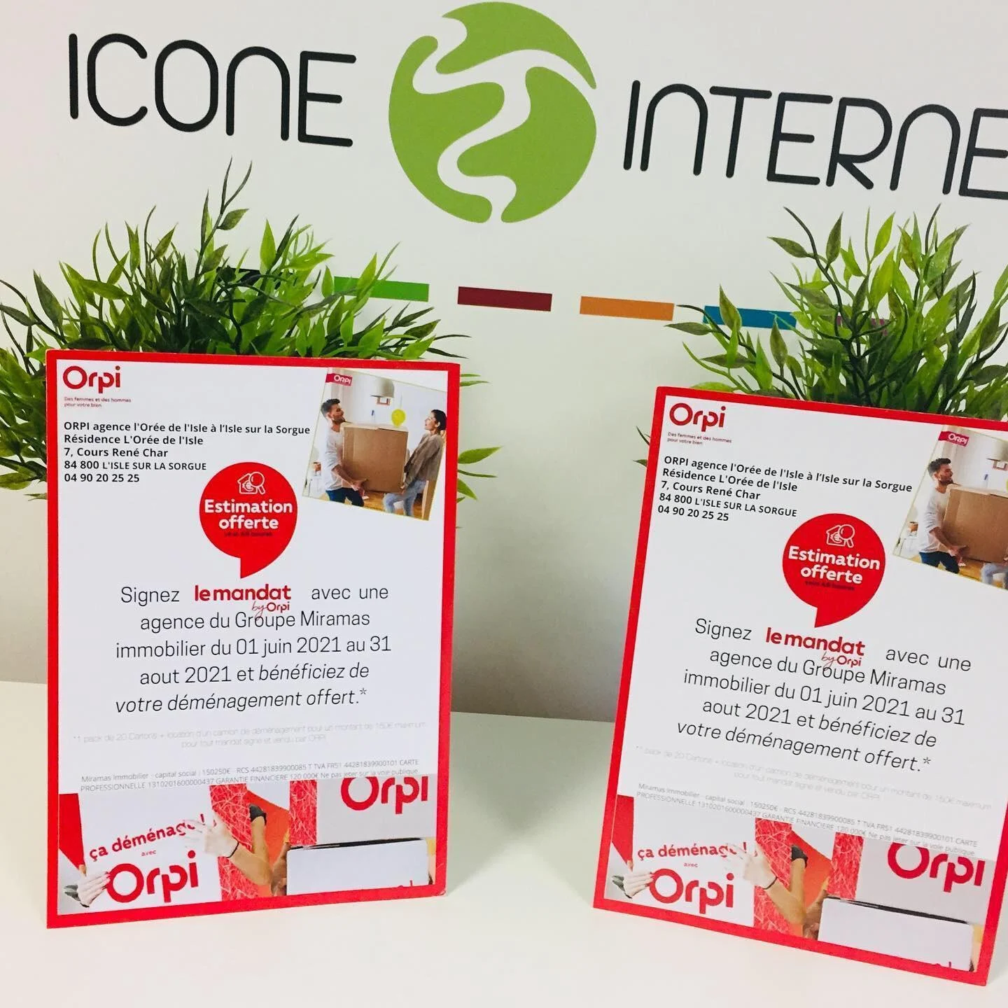 Cartes de visite icone internet agence immobiliere