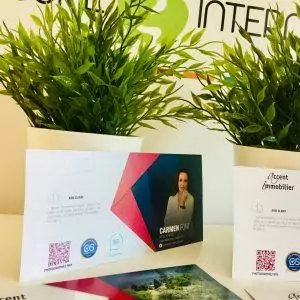 cartes flyers agence immobilière