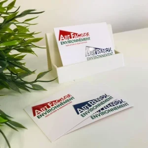 Cartes de visite avec boitier