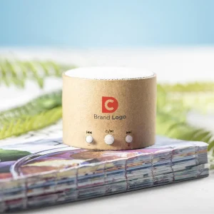 Enceinte personnalisable