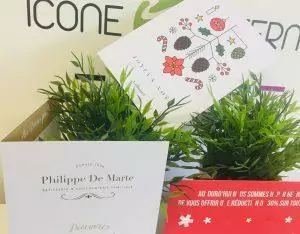 Cartes de vœux 2022 2023