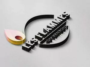 creation logo poele a bois