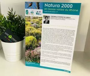 Magazine pour votre parc afin de parler de l'histoire et des activités qui ont lieu la-bas