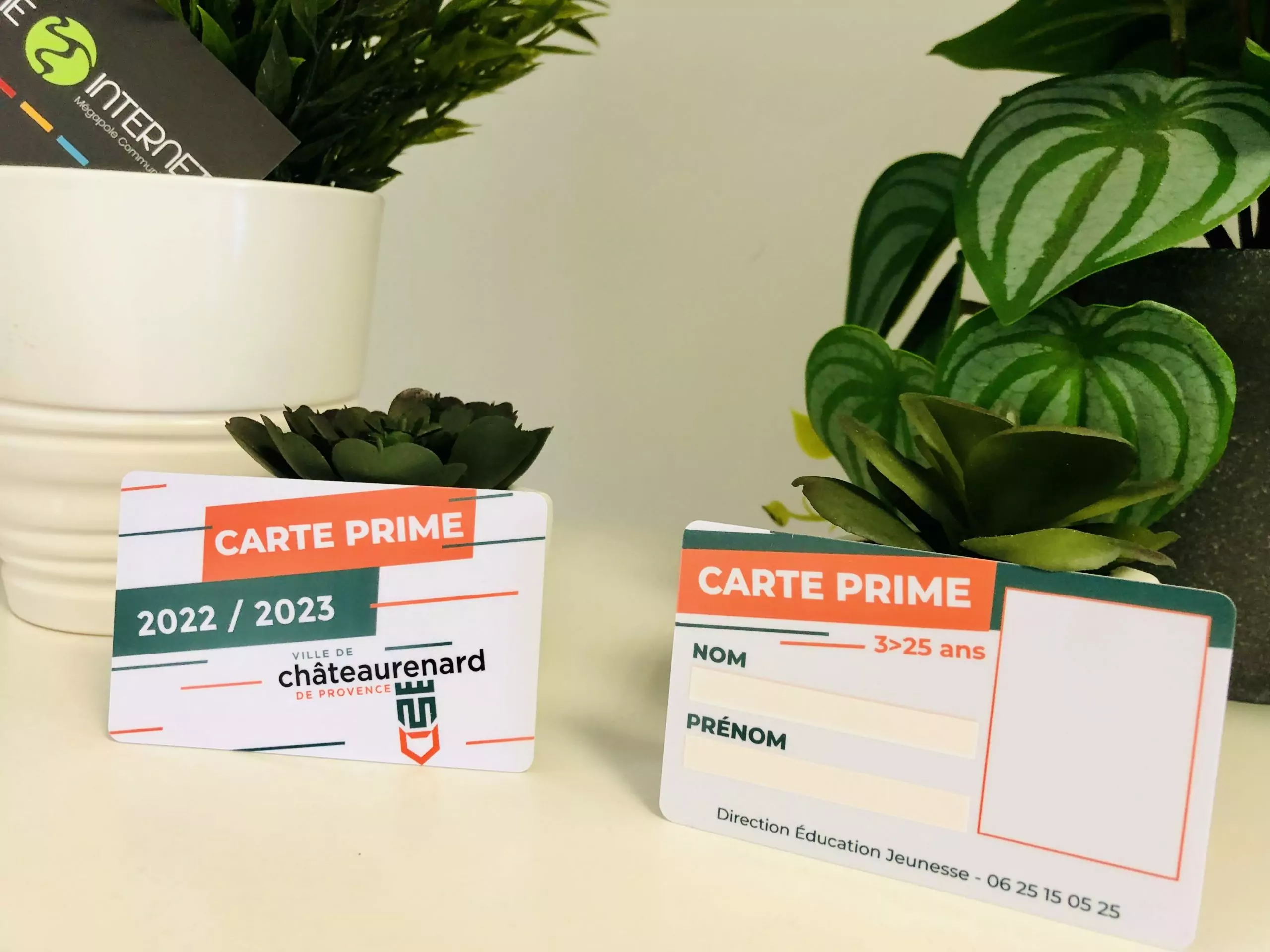 cartes pvc personnalisees (1)