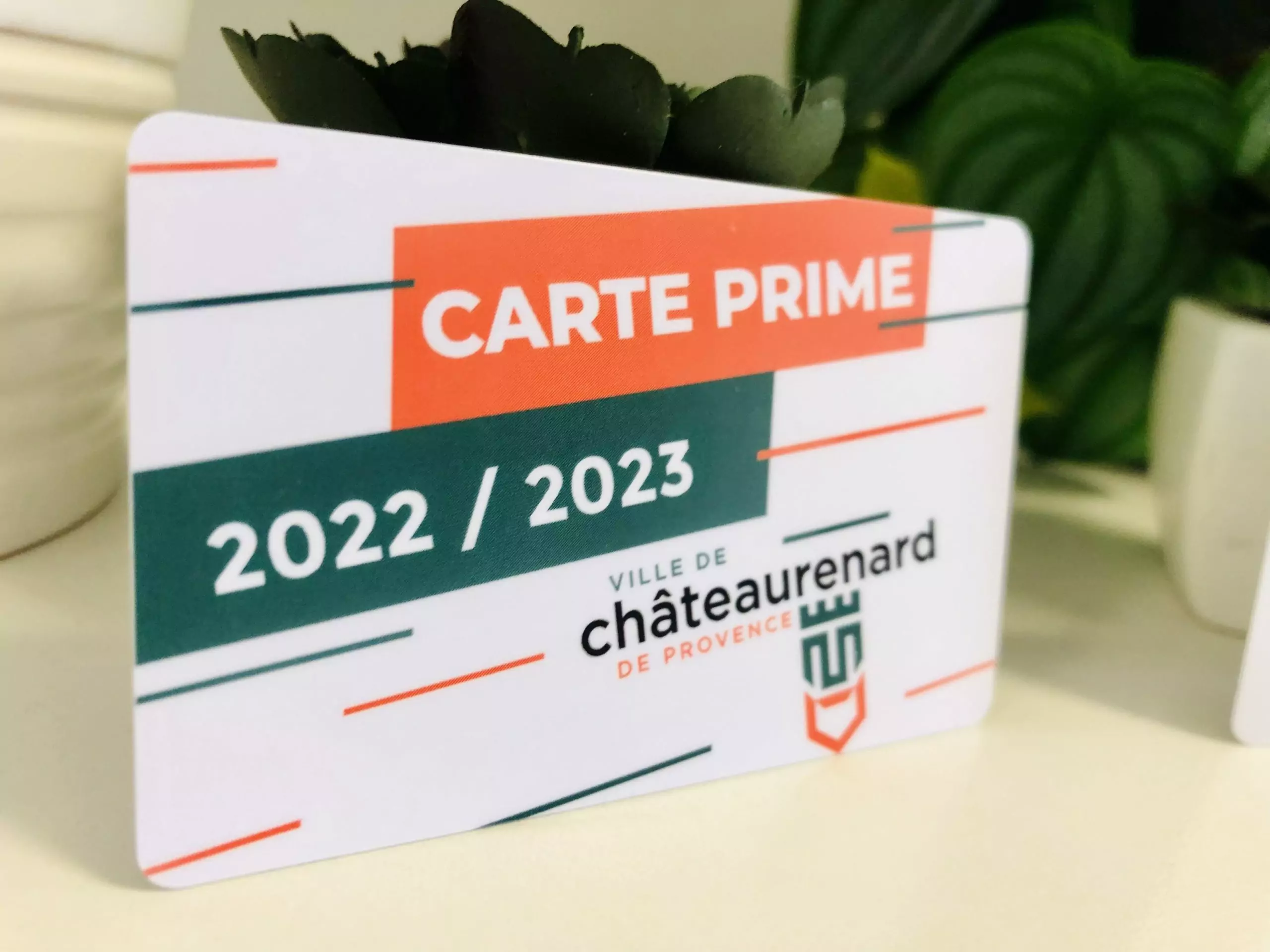 cartes pvc personnalisees (1)