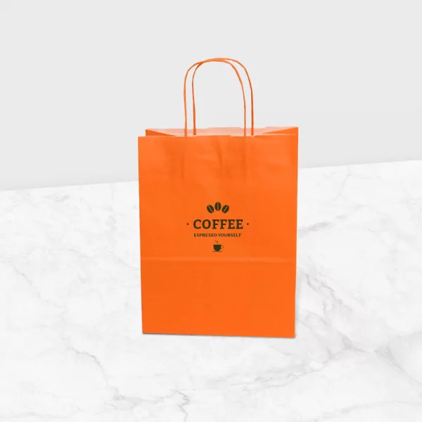 Sac kraft à anses torsadées Lafayette
