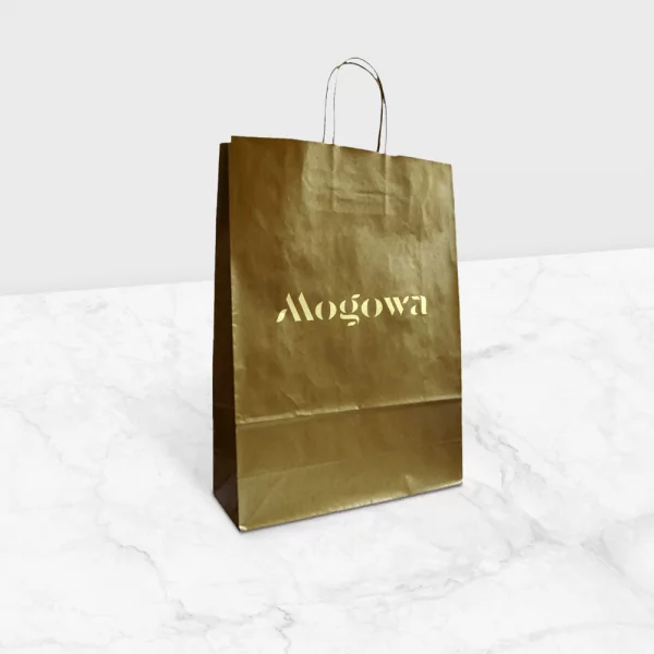 Sac kraft à anses torsadées Hagerstown