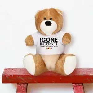 Ours en peluche avec t-shirt