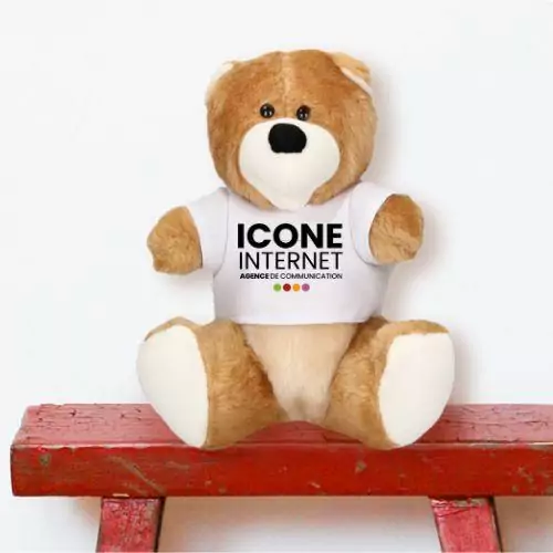 Ours en peluche avec t-shirt