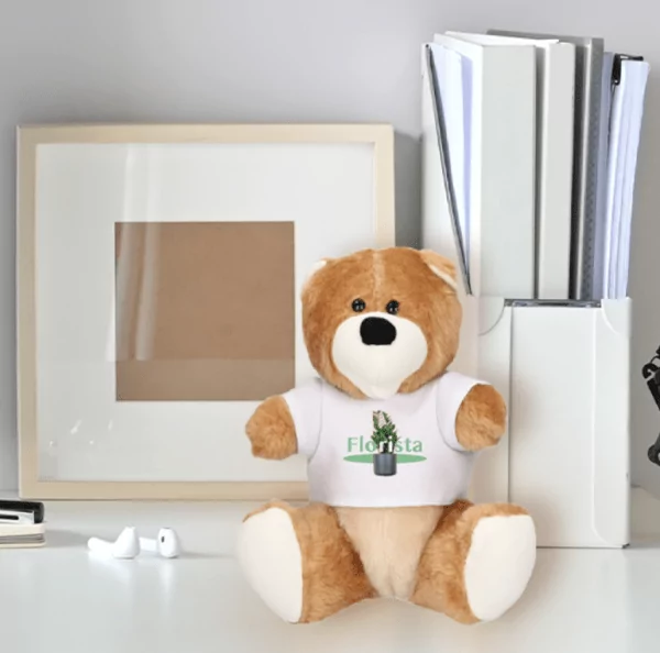 Ours en peluche avec t-shirt personnalisé