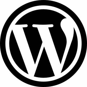 Reparer site WordPress, réparation bug site