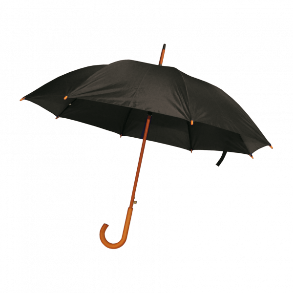 PARAPLUIE CANNE 23" AUTOMATIQ.