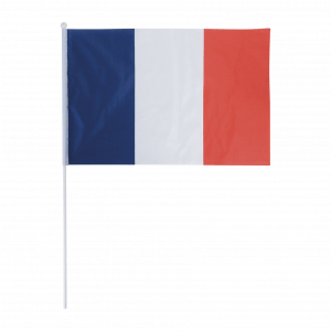COUPE DU MONDE DE FOOTBALL
