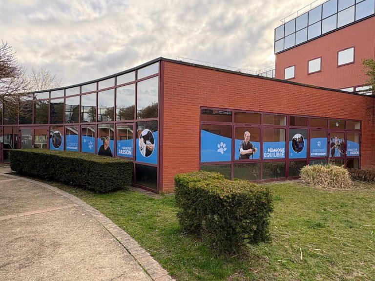 Etude fabrication et pose d'adhésifs pour école
