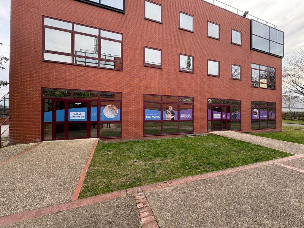 Etude fabrication et pose d'adhésifs pour école